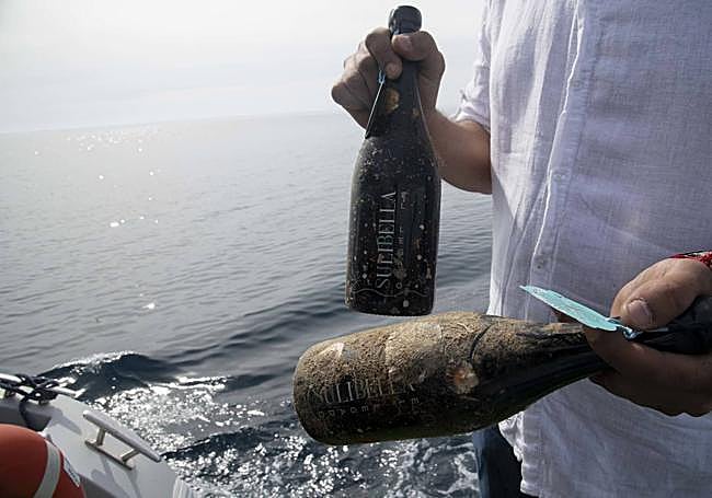 Botellas de Sulibella tras sacarlas de la bodega.