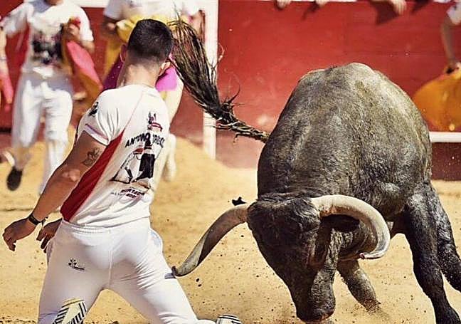 Antonio Torrecilla, durante su actuación en Valencia.