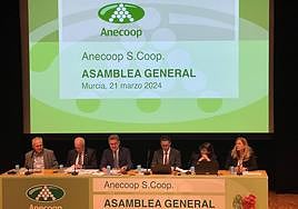 Anecoop aumenta su cifra de negocio un 2,7% frente a un descenso en el volumen comercializado