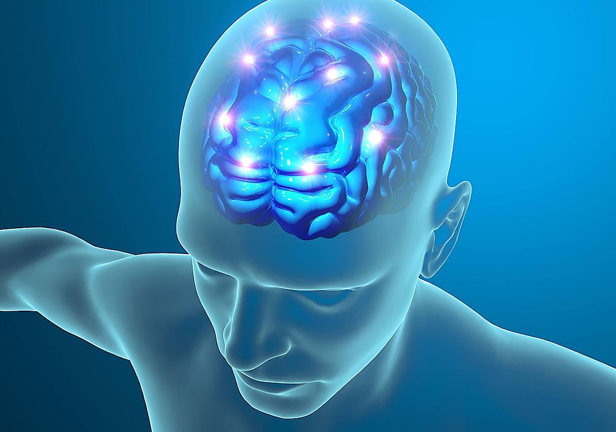 Ilustración de un cerebro.
