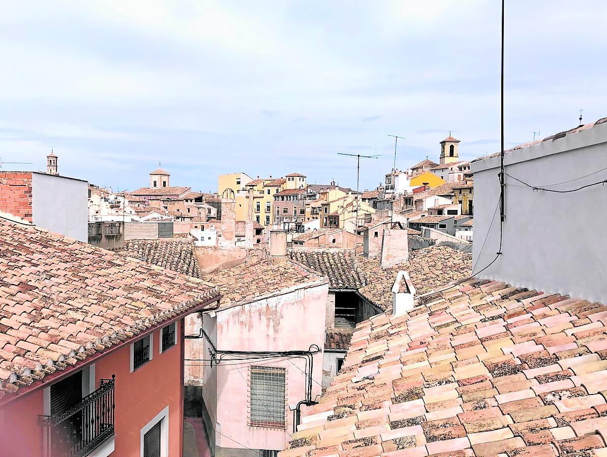 Imagen secundaria 1 - En la parte superior: Protagonista esencial. El paisaje del Valle de Ricote, con sus palmerales y sus palmeras descabezadas por el picudo es parte esencial de 'Meta Morfosis'. Foto: Kinos klan. A la izquierda: Desde el cuarto. Tejados de Cehegín que Goyo ve desde el cuarto en el que queda recluido. Foto: Kinos kla. A la derecha: ejemplar de picudo rojo, plaga que asola los palmerales europeos. Foto: GUillermo CarriÓn / AGM