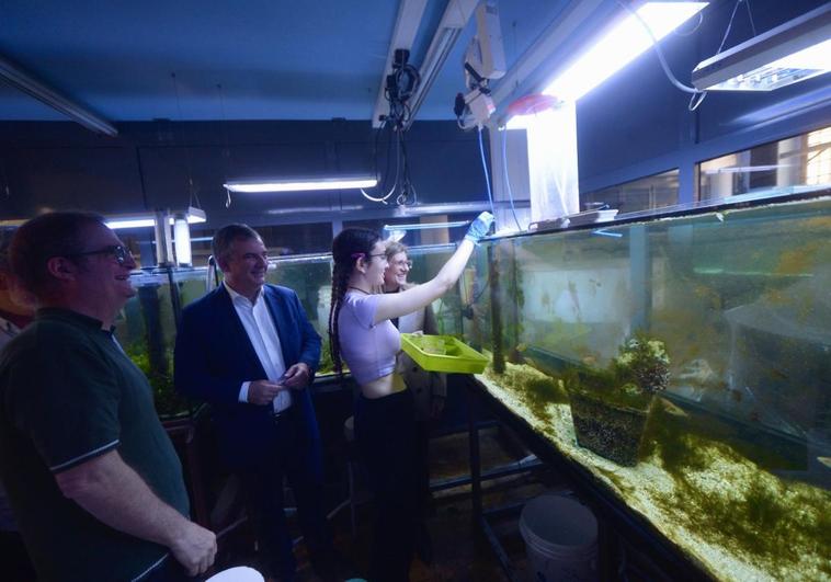 Primeros permisos para el centro del Mar Menor en el aeropuerto de San Javier