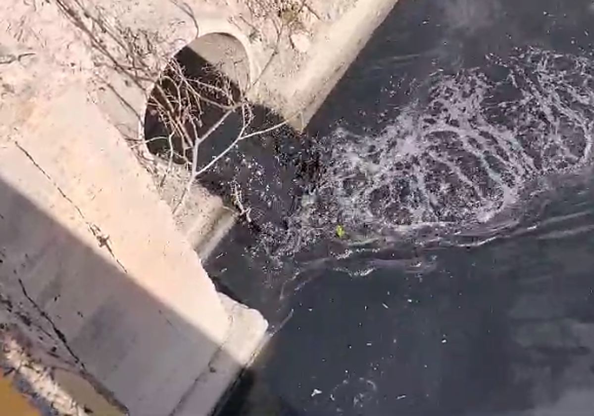 Vertido captado por un grupo de agricultores en el azarbe de Giles, el pasado febrero.