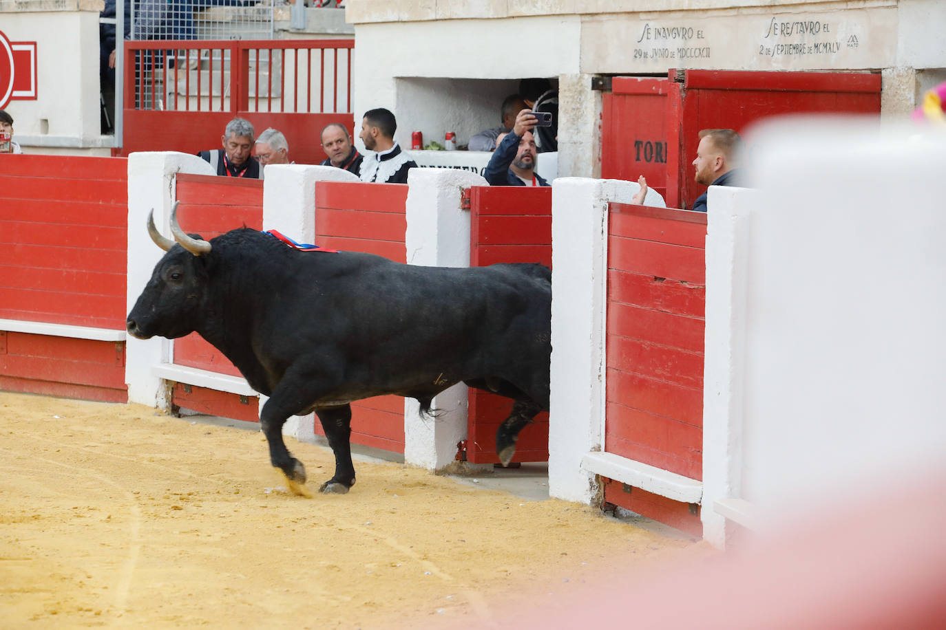 La reapertura de la plaza de toros de Lorca, en imágenes