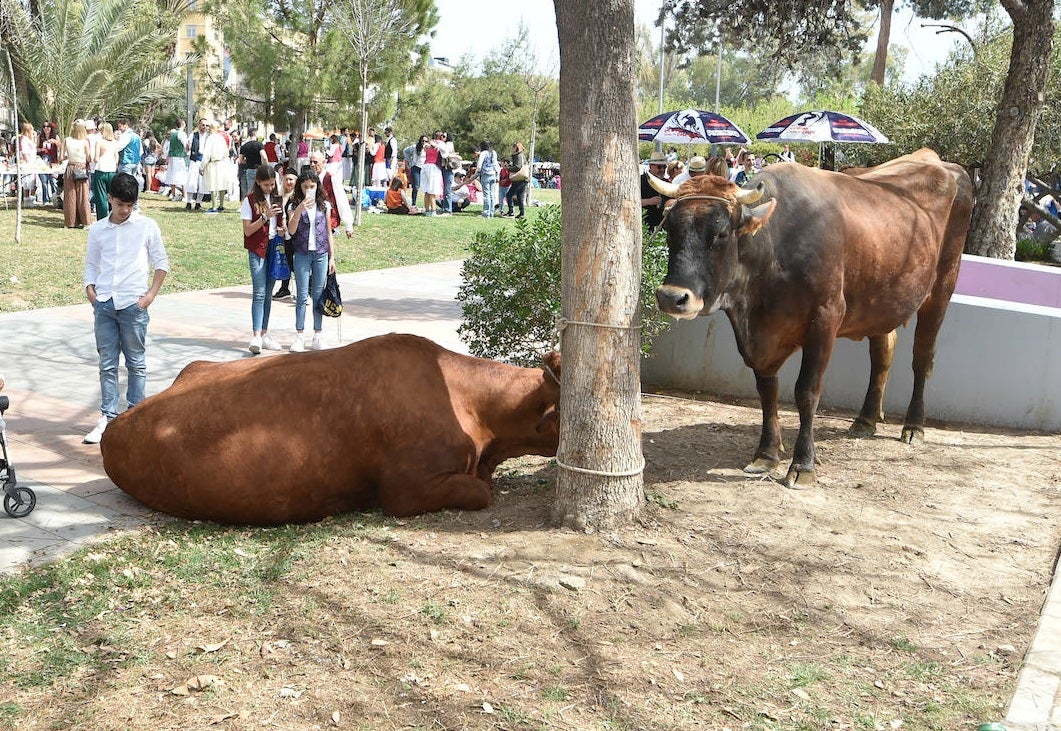 Las calles de Murcia rebosan en el Bando de la Huerta