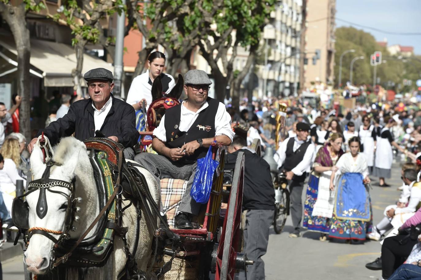 El desfile del Bando de la Huerta, en imágenes