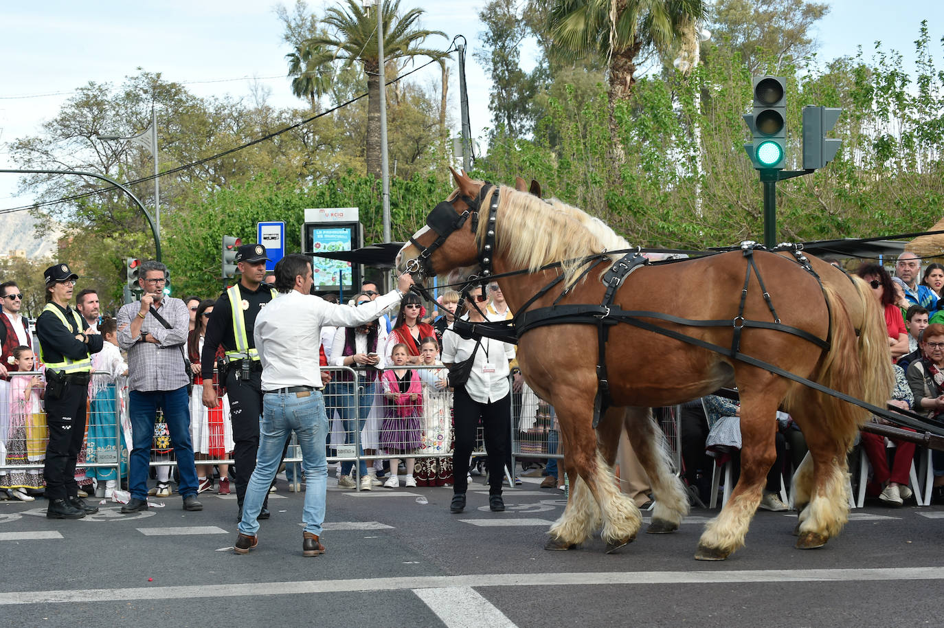 El desfile del Bando de la Huerta, en imágenes