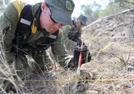 Dos agentes medioambientales toman muestras en la zona de un incendio forestal ocurrido en la Región de Murcia, en una foto de archivo.