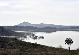 Pantano de Santomera en una imagen del pasado febrero.