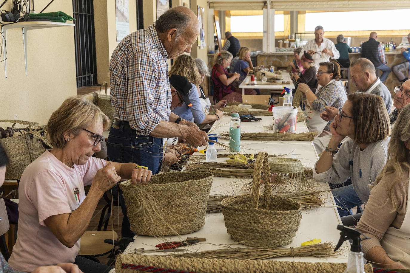 El esparto florece en la zona oeste de Cartagena