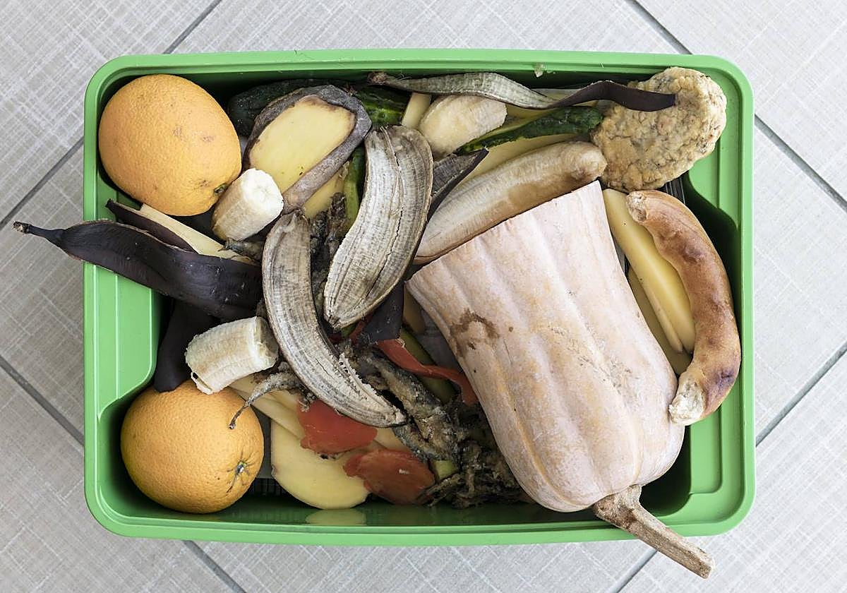 Papelera de reciclaj con verduras orgánicas, en imagen de archivo.