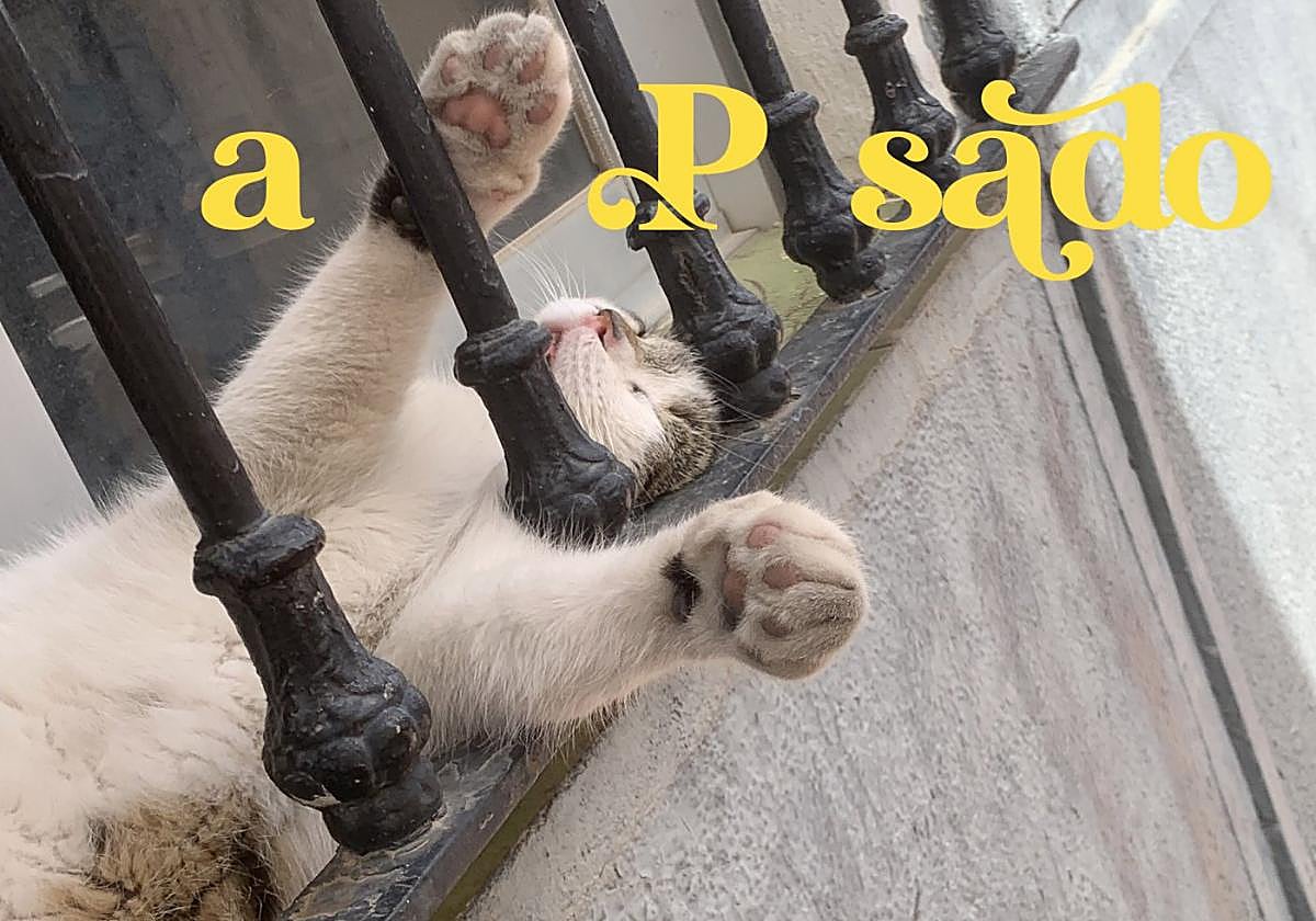 En el mar, muertas de hambre y de sed