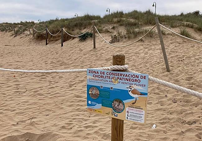 Balizamiento. La playa de La Mata restringe el paso a las zonas del arenal más alejadas de la orilla.