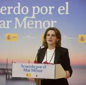 La ministra Teresa Ribera, durante su última visita a Murcia en enero de este año.