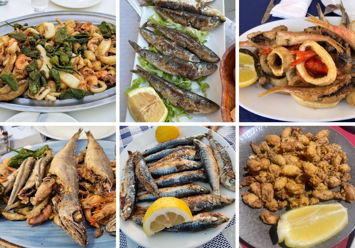 Freiduría Venécora, Freiduría Don Pepe, Freiduría Isla Plana, Freiduría La Marina, Techos bajos, Freiduría Mar Menor