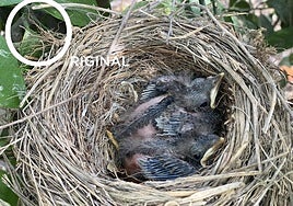 No quería una médica negra, no se fiaba