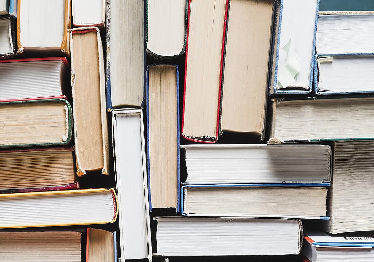 La selección de 32 lectores de LA VERDAD para celebrar el Día del Libro