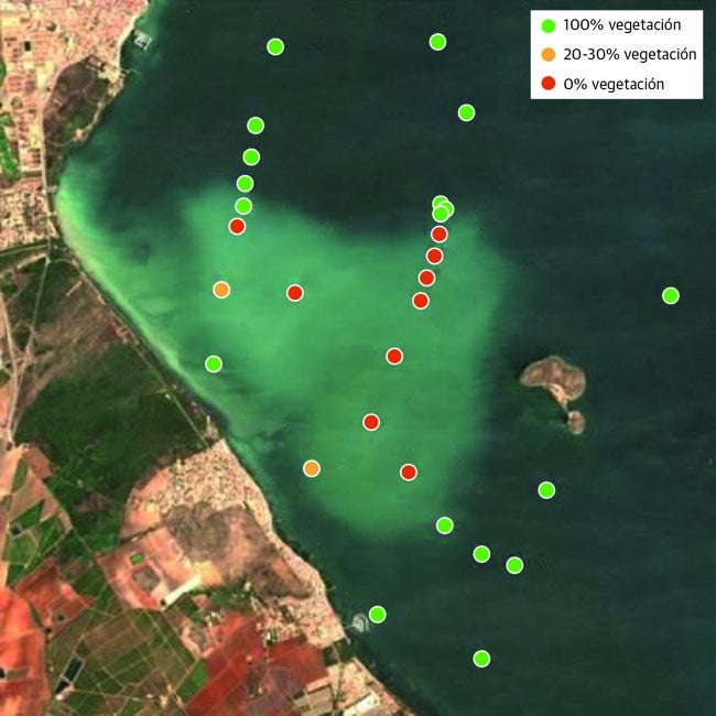 Localización de puntos de evaluación de la vegetación bentónica del Mar Menor. Los colores de los puntos indican la abundancia relativa. La imagen muestra la mancha blanca en la zona centro-oeste de la laguna.