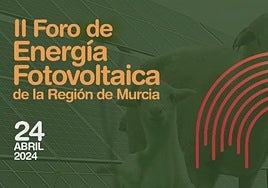 Una decena de expertos analizan el sector fotovoltaico en la Región de Murcia