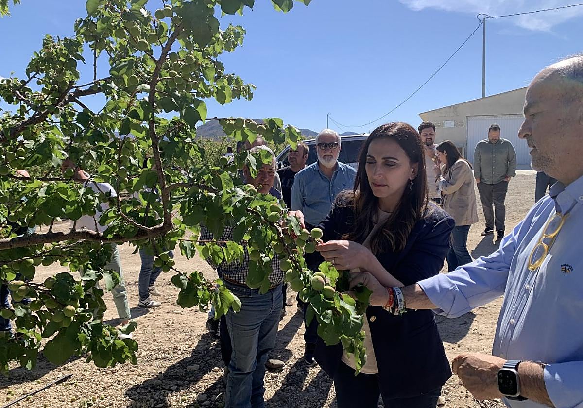 La consejera Sara Rubia, inspeccionando una de las fincas afectadas.