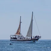 Los excursionistas a bordo del barco Karyam.
