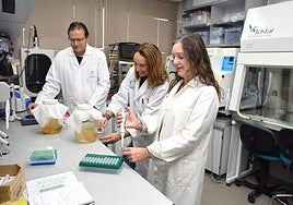 Tres científicos elaboran bebidas 3S en el laboratorio del CEBAS-CSIC.