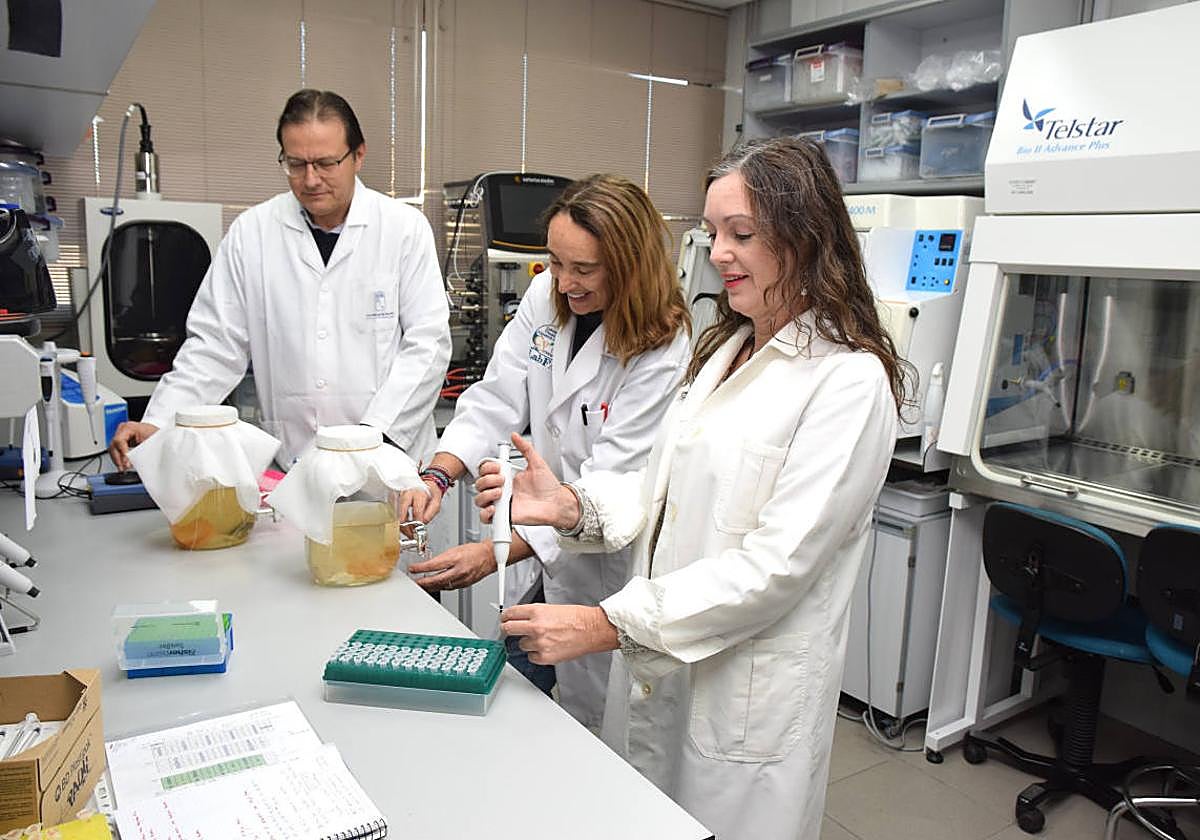 Tres científicos elaboran bebidas 3S en el laboratorio del CEBAS-CSIC.