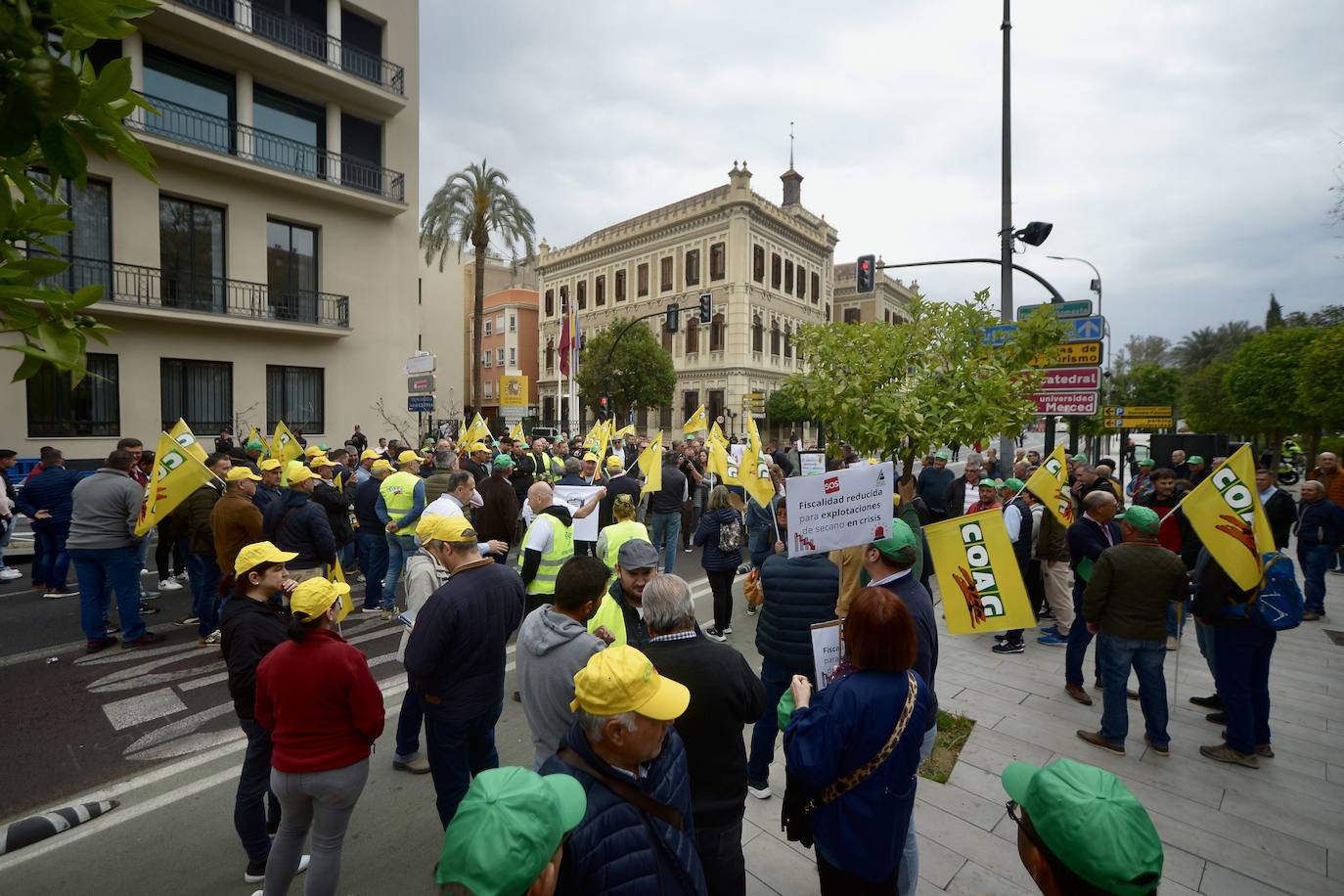 La protesta de agricultores y ganaderos de las zonas de secano ante la Delegación del Gobierno, en imágenes