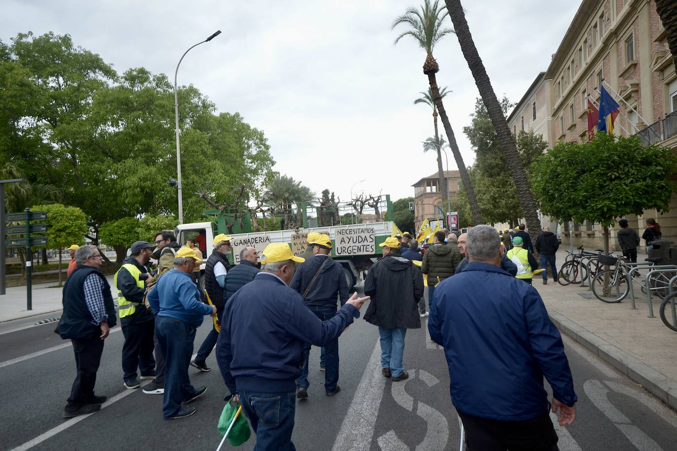 La protesta de agricultores y ganaderos de las zonas de secano ante la Delegación del Gobierno, en imágenes