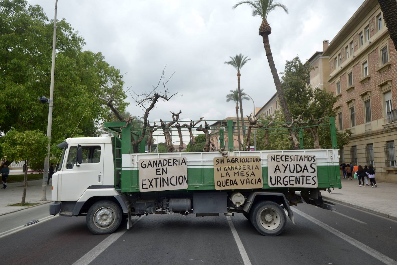 La protesta de agricultores y ganaderos de las zonas de secano ante la Delegación del Gobierno, en imágenes