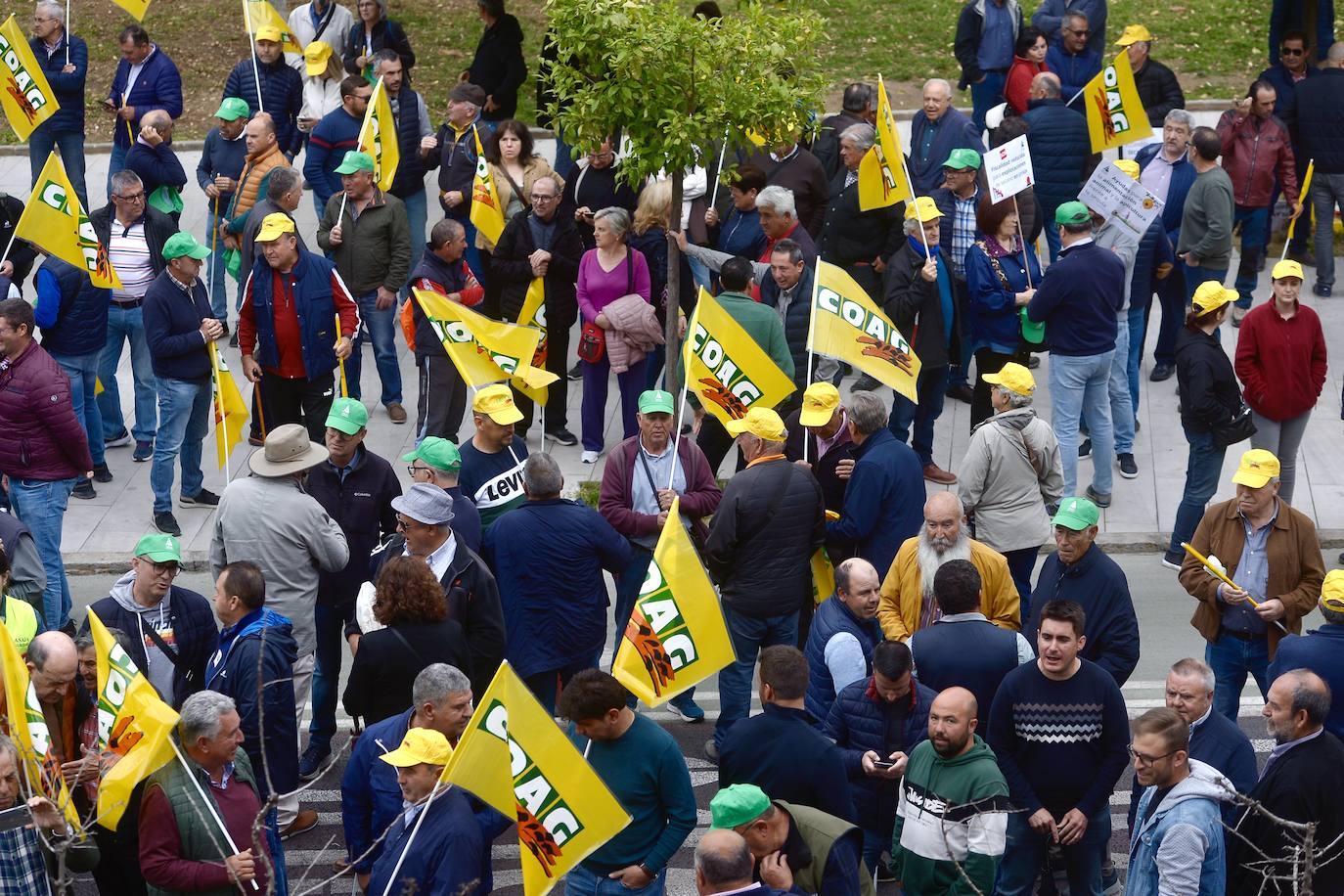 La protesta de agricultores y ganaderos de las zonas de secano ante la Delegación del Gobierno, en imágenes