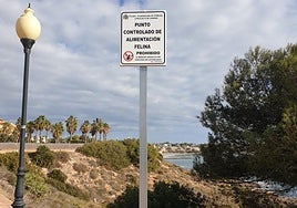 El paseo de Aguamarina es la única colonia señalizada en la costa.