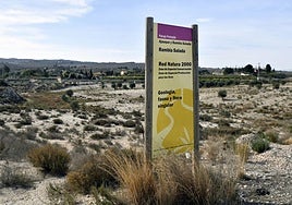 Imagen de archivo de Rambla Salada