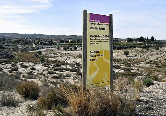 Imagen de archivo de Rambla Salada