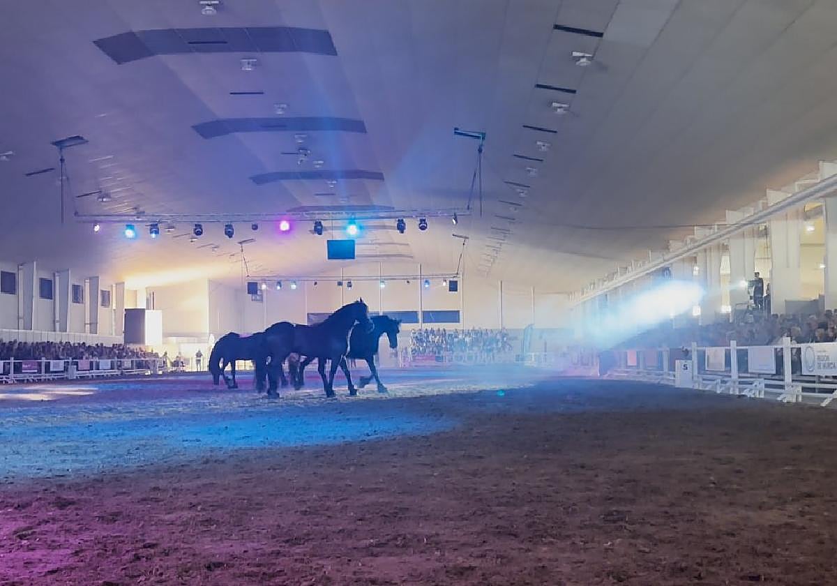 Exhibición en la pista central de Equimur.