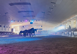 Exhibición en la pista central de Equimur.