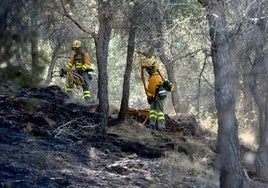 Bomberos durante un incendio en los alrededores de la Fuensanta, en una imagen de archivo.