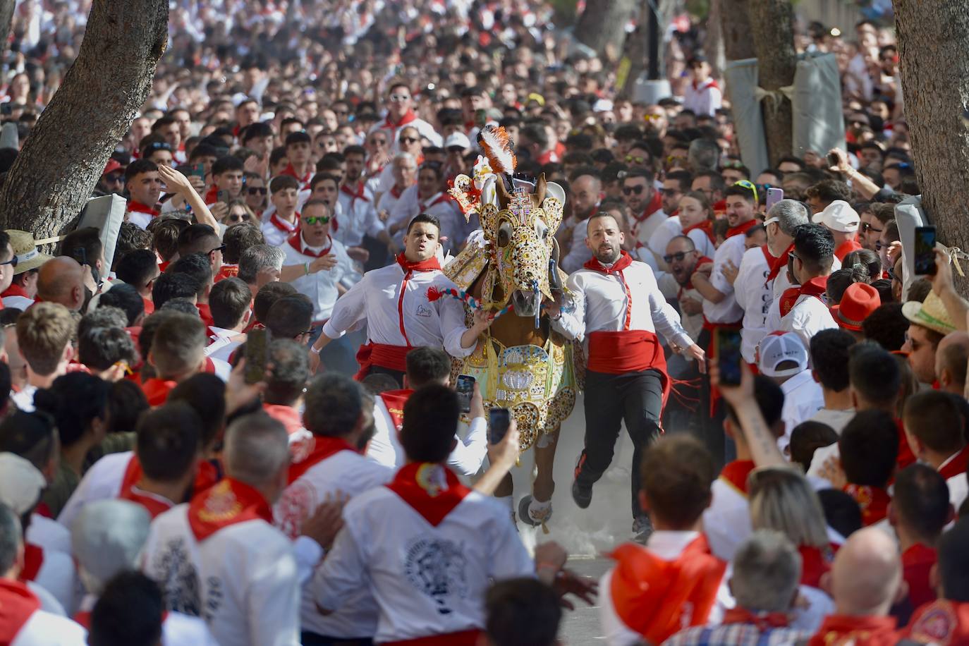 La carrera de los Caballos del Vino, en imágenes
