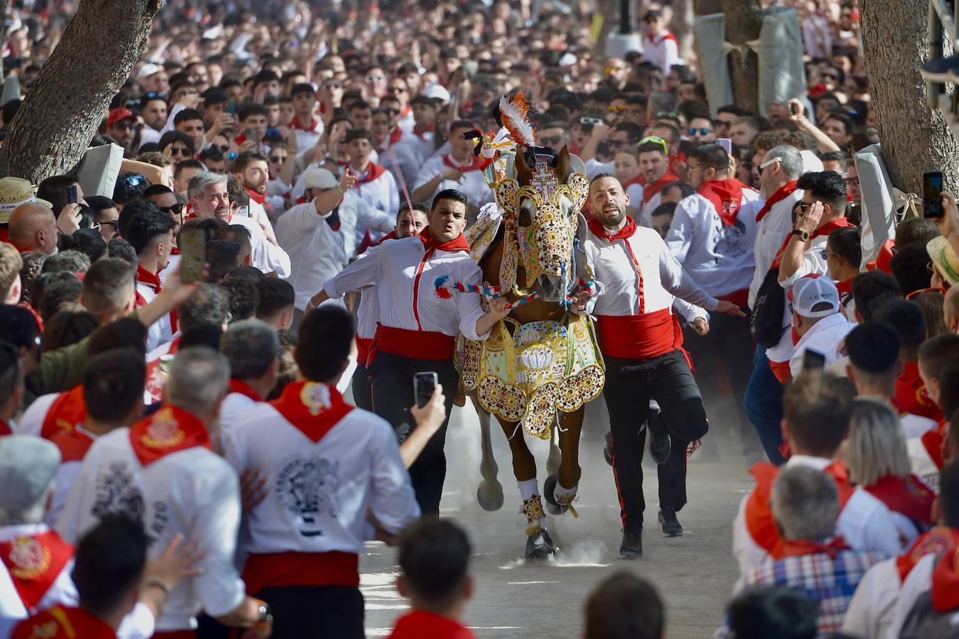 La carrera de los Caballos del Vino, en imágenes