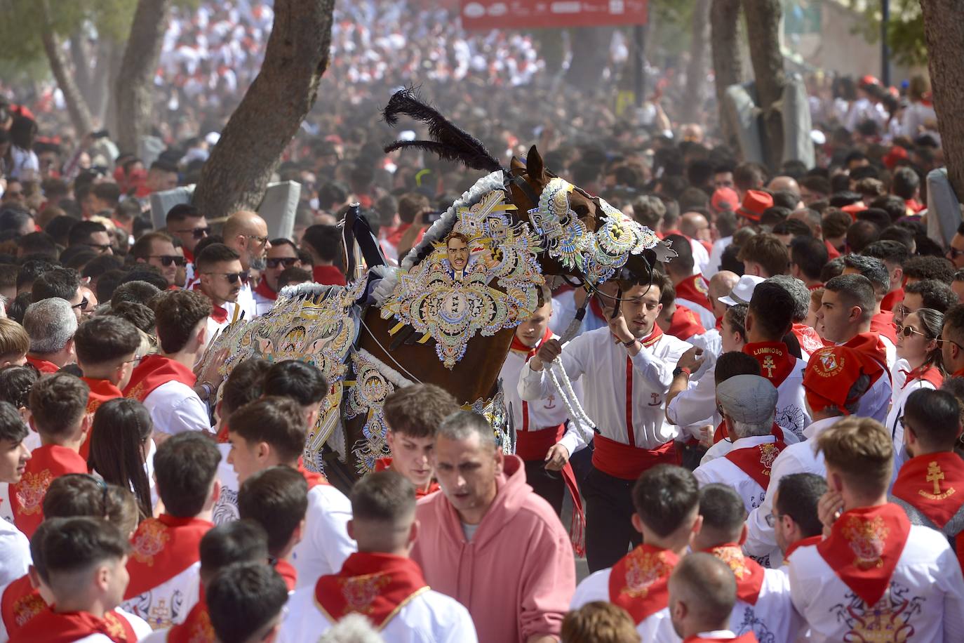 La carrera de los Caballos del Vino, en imágenes