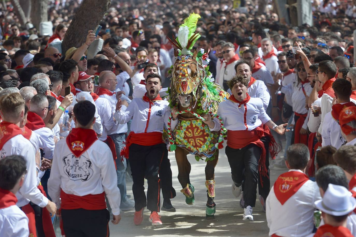 La carrera de los Caballos del Vino, en imágenes