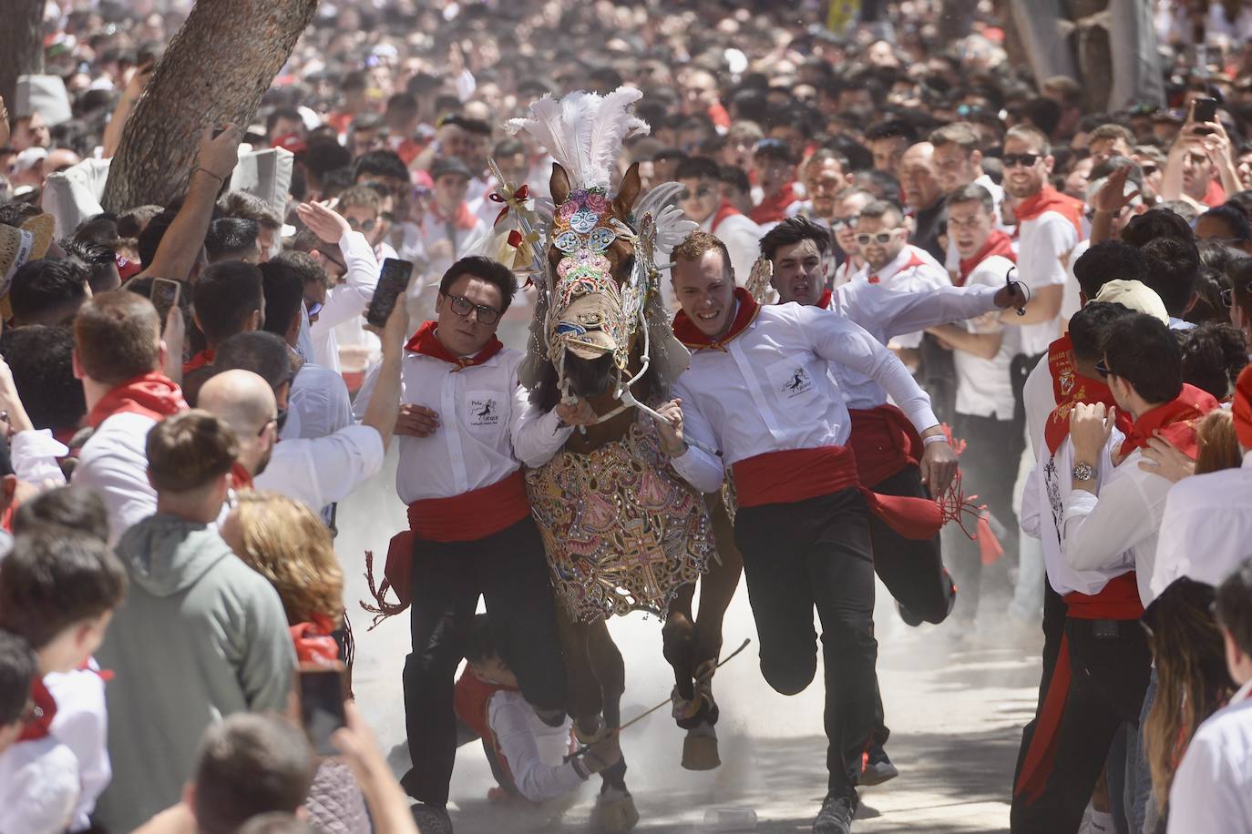 La carrera de los Caballos del Vino, en imágenes
