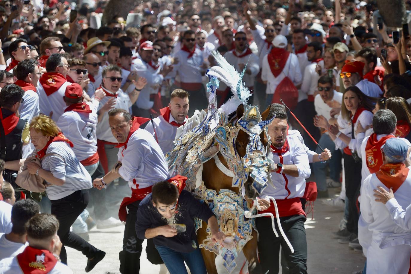 La carrera de los Caballos del Vino, en imágenes