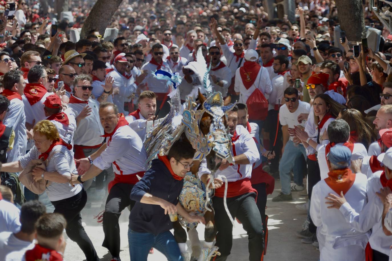 La carrera de los Caballos del Vino, en imágenes