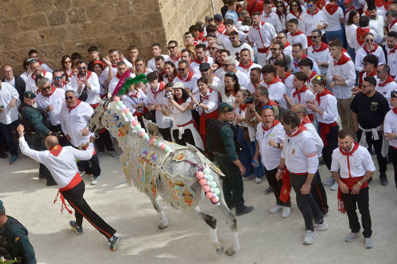 La carrera de los Caballos del Vino, en imágenes
