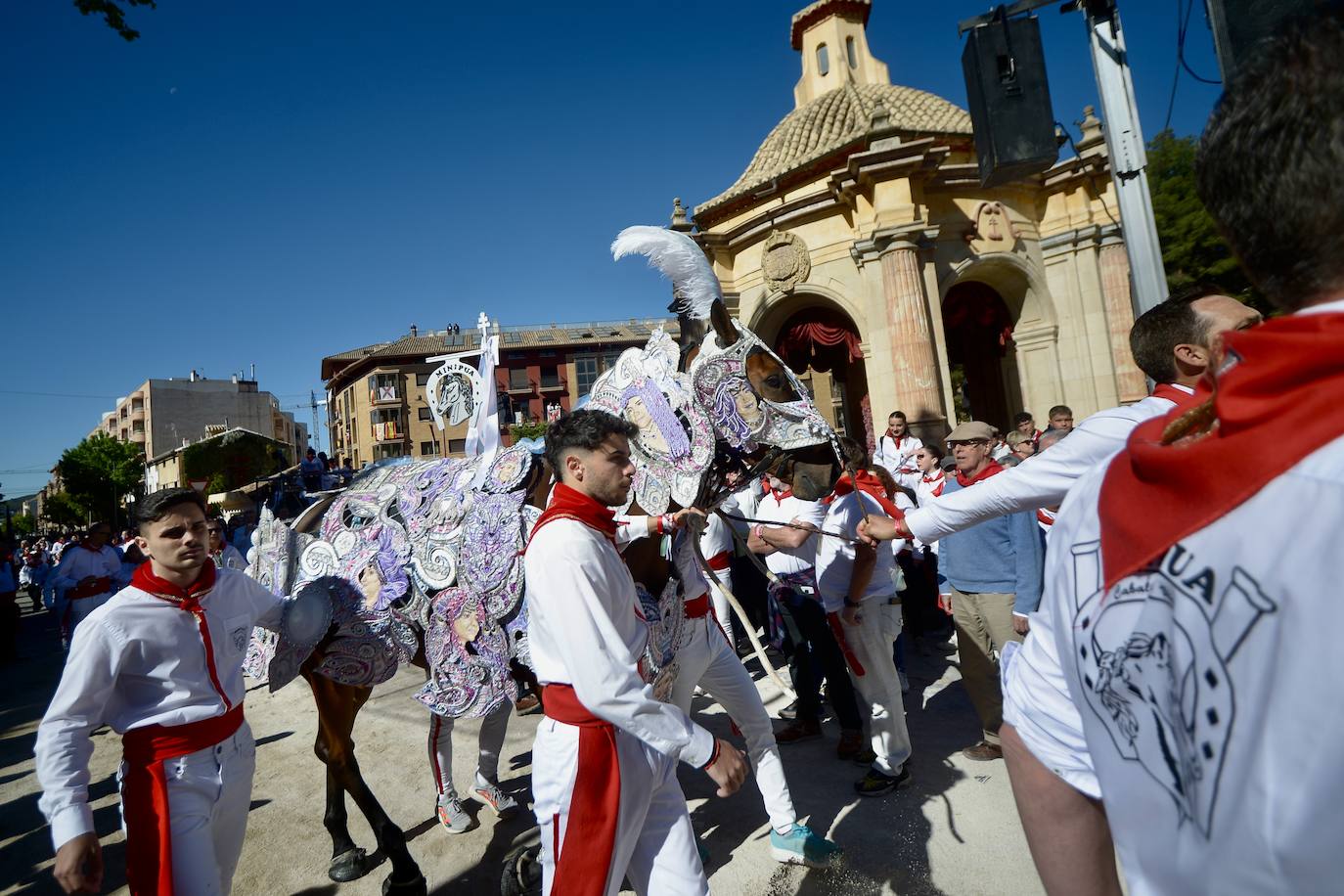 Las imágenes de la marea roja y blanca de los Caballos del Vino de Caravaca