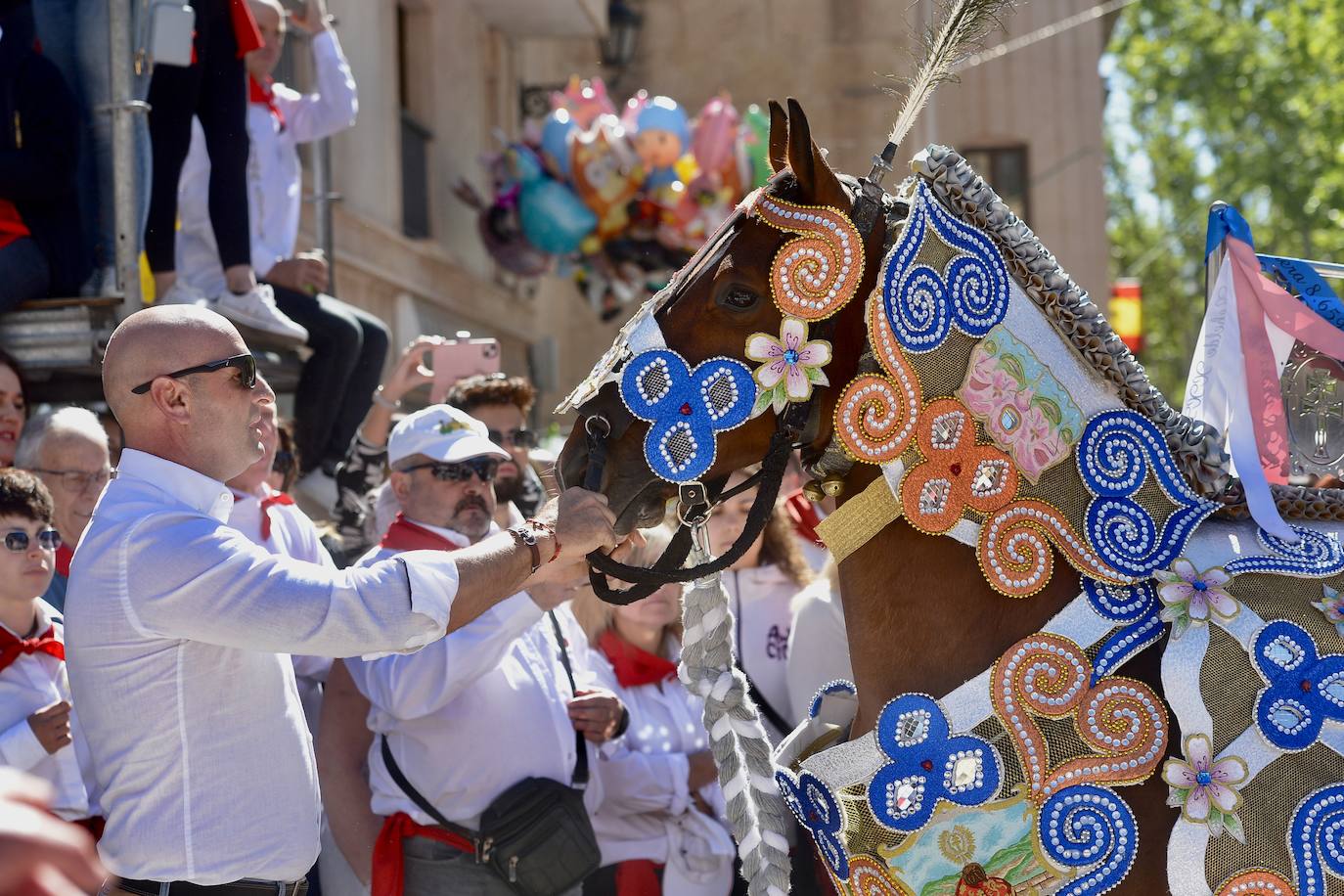 Las imágenes de la marea roja y blanca de los Caballos del Vino de Caravaca