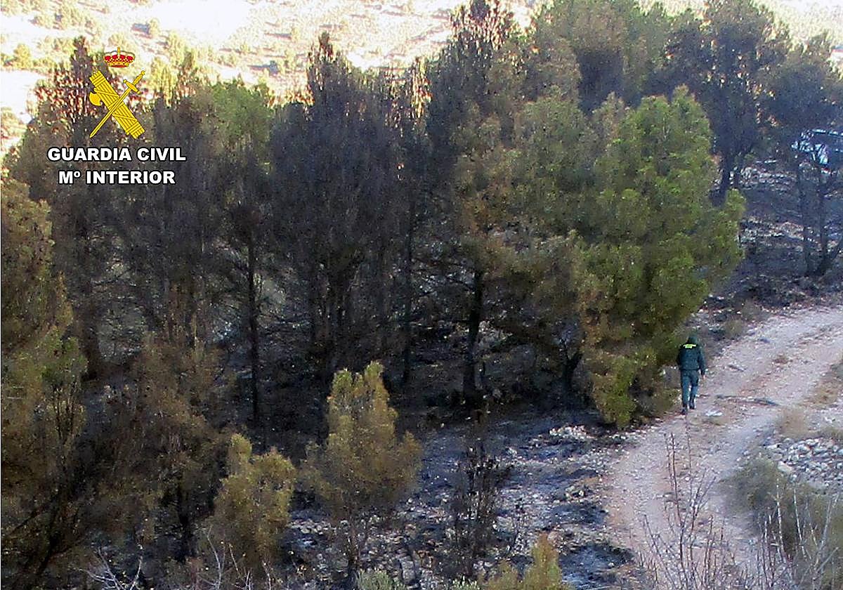 Paraje Los Prados-Collado, donde se produjo el incendio.