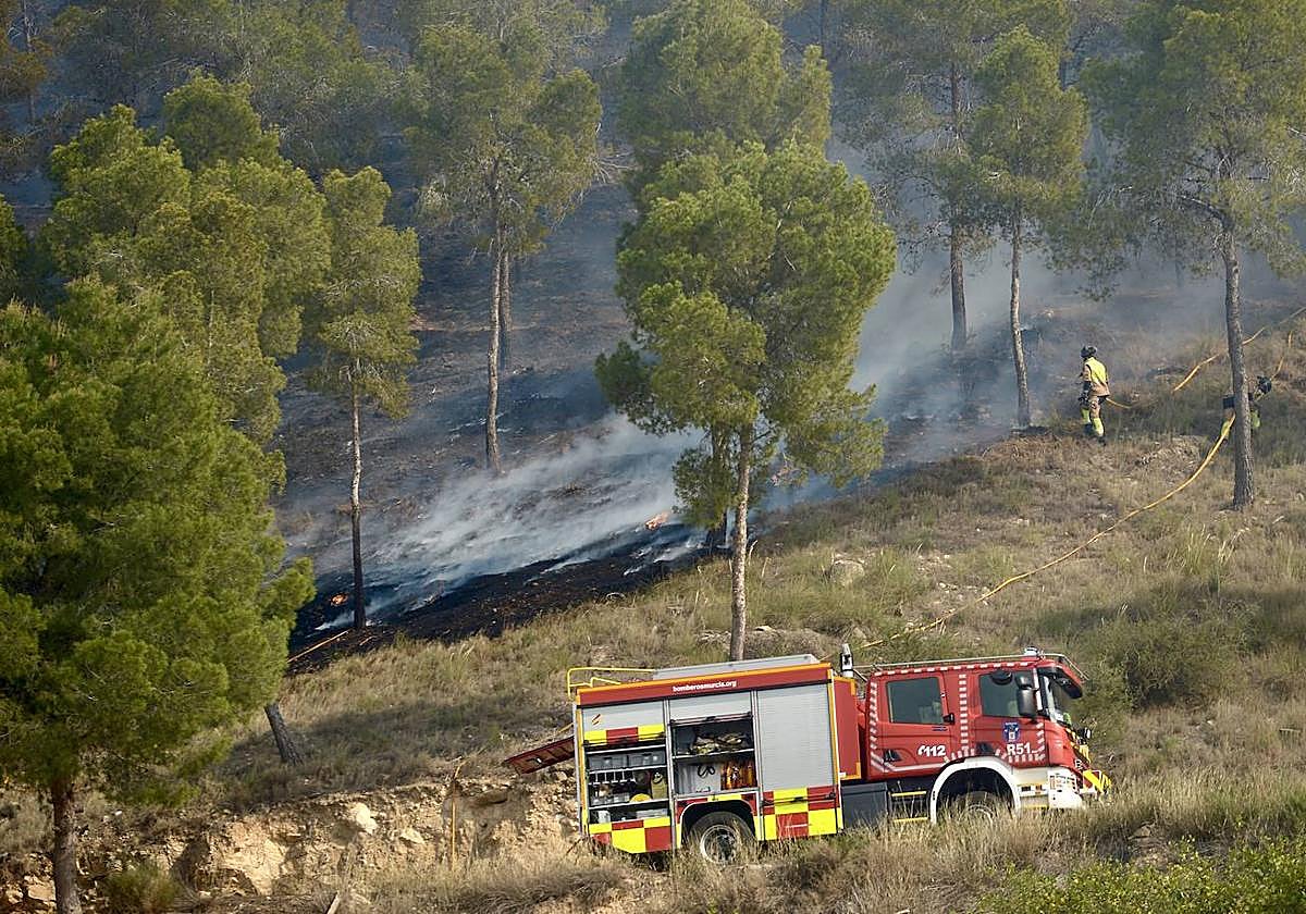 Sofocan un incendio forestal entre San José de la Vega y El Garruchal, en Murcia