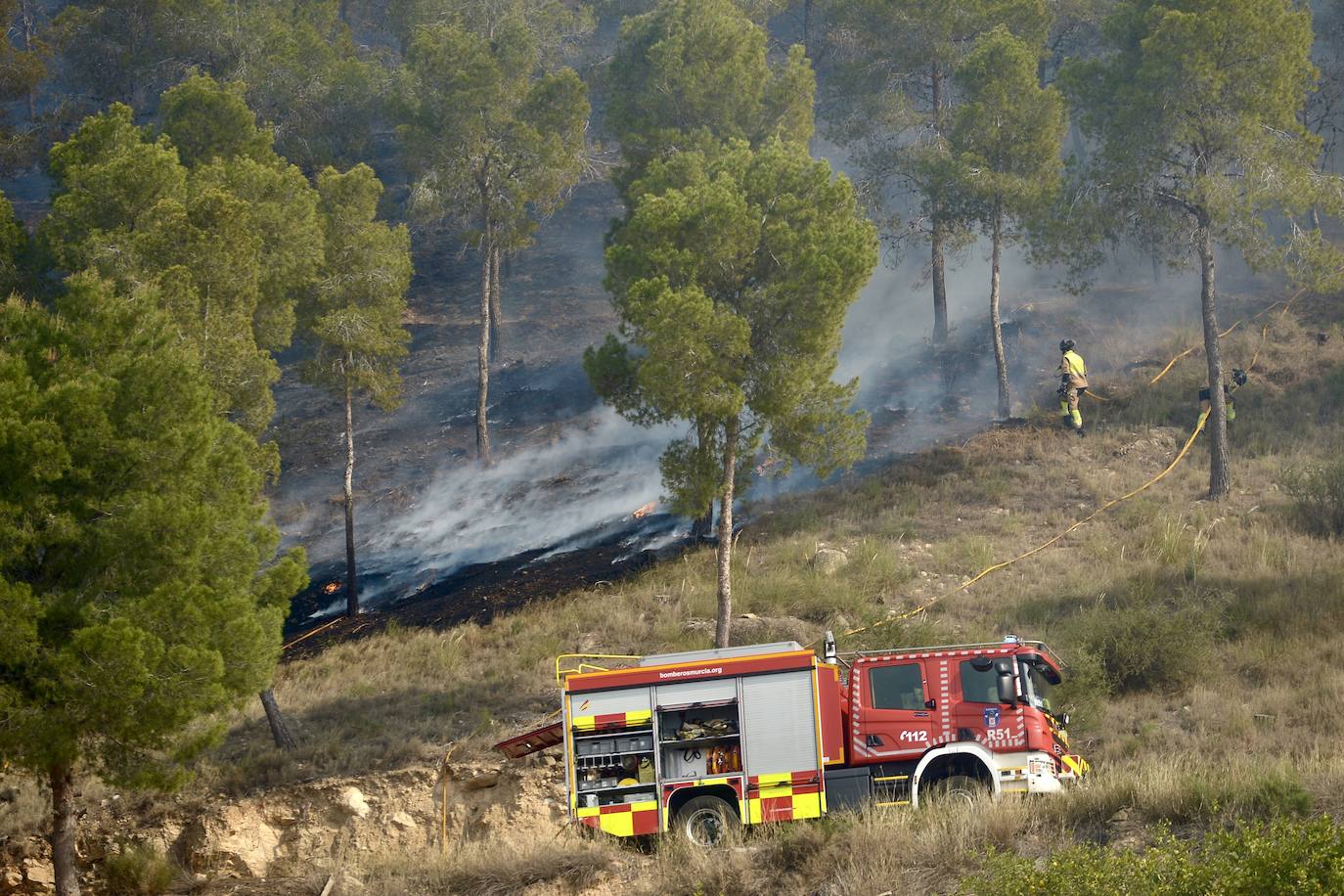 Sofocan un incendio forestal entre San José de la Vega y El Garruchal, en Murcia